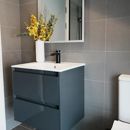 Spire Entire Attic No Kitchen Daire Dublin