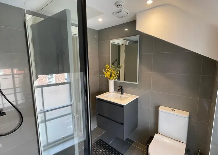 Spire Entire Attic No Kitchen Daire *