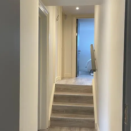 Spire Entire Attic No Kitchen Dublin