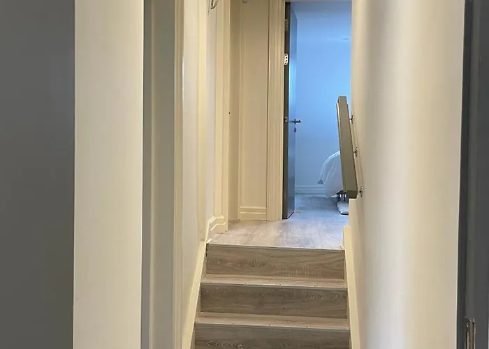 Spire Entire Attic No Kitchen Dublin