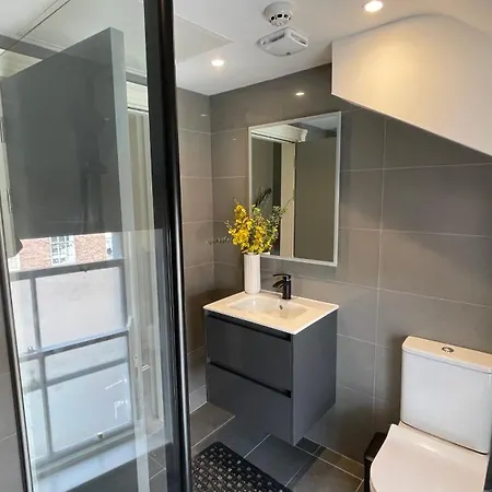 Spire Entire Attic No Kitchen Daire *